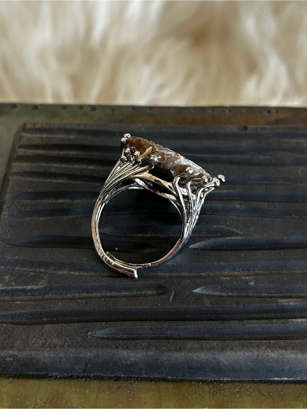 Handcrafted Brown Ammonite Shell Ring in Silver Setting